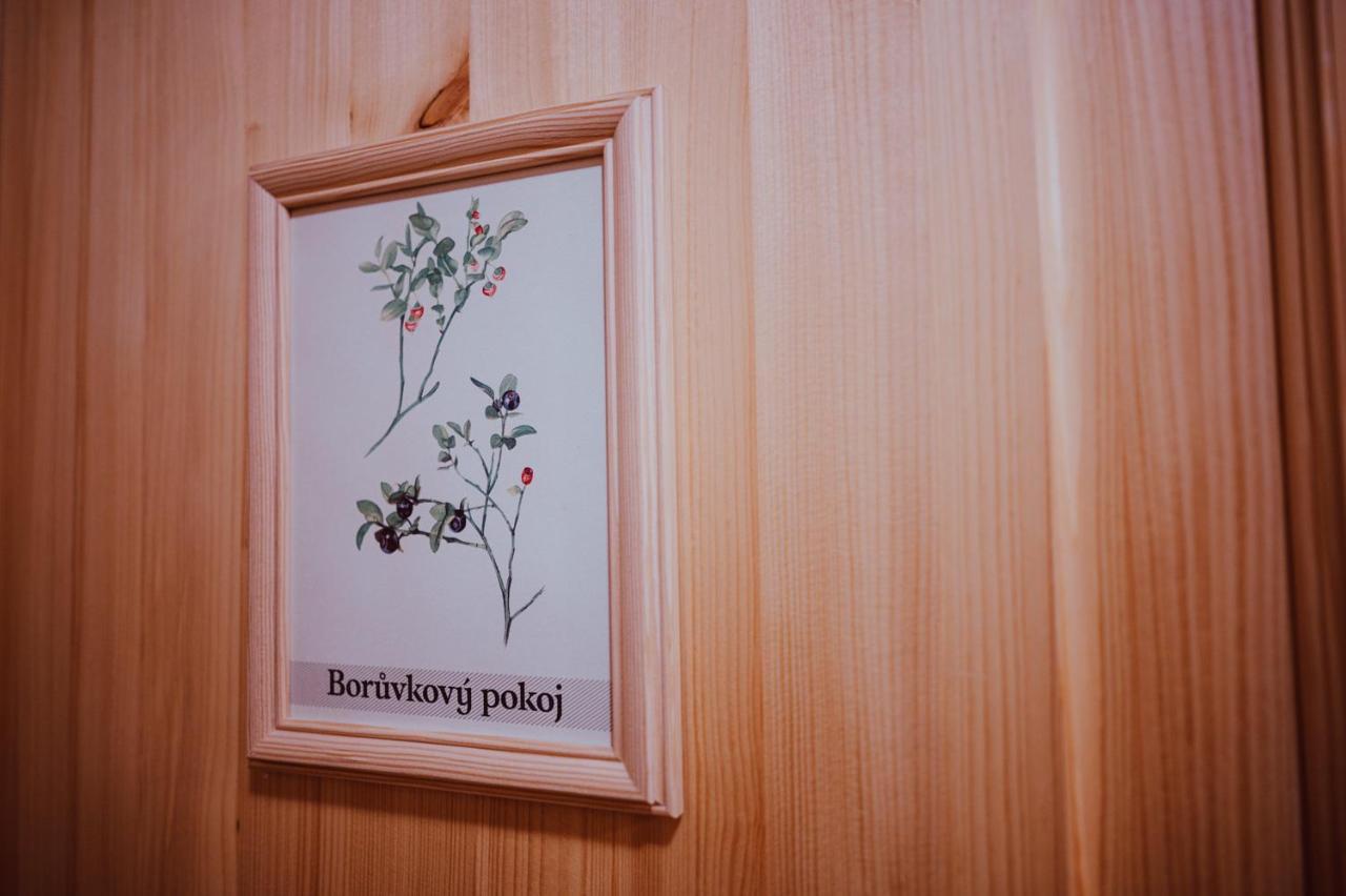 Penzion Brusinka Kocourov  Dış mekan fotoğraf